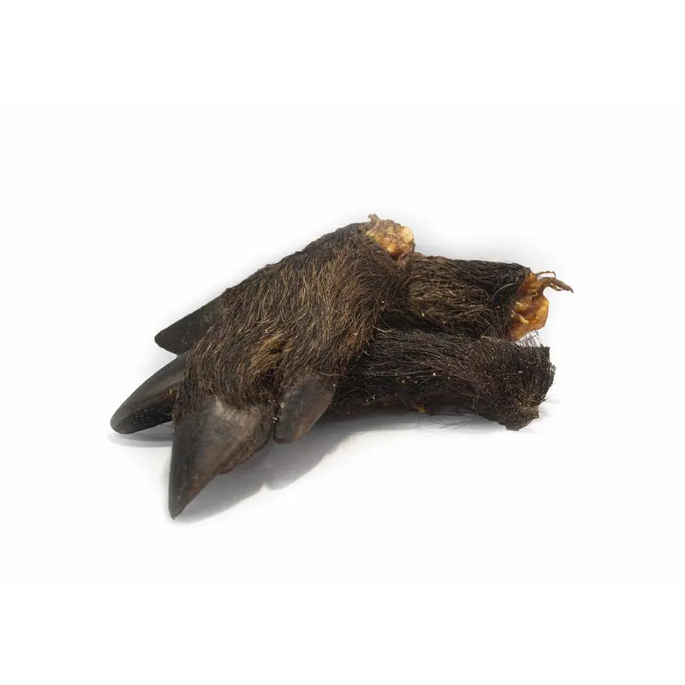 Vildsvinefod med pels 10 stk.(EU) - FjeldgaardShop.dk Natursnacks Gris Imazo