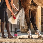 CDM Canter Mane and Tail spray til man og hale hos hestene