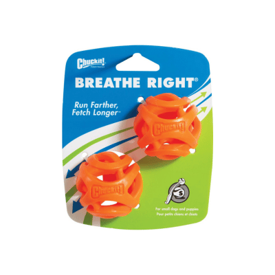 Chuckit Breathe Right Fetch Ball