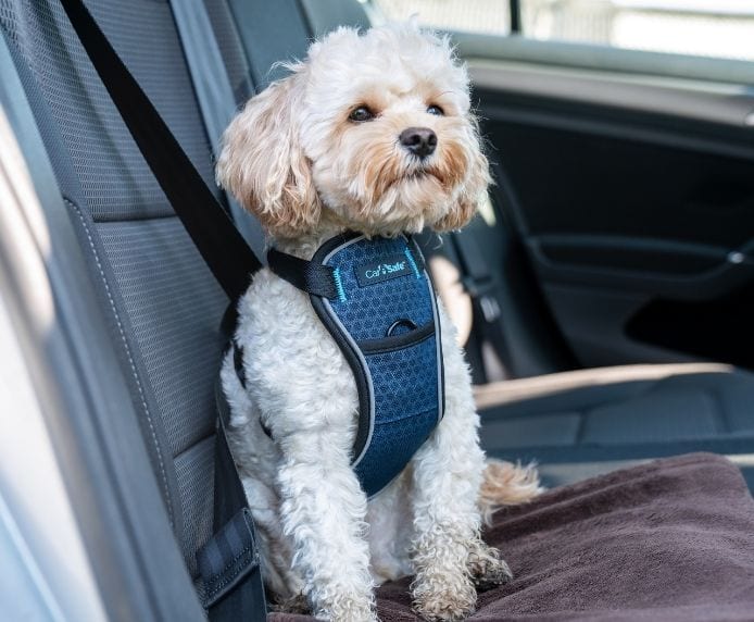 CarSafe Crash Tested Dog Harness Blue