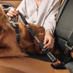 EzyDog Click Zero Shock™ Bæltesadapter by Ezydog