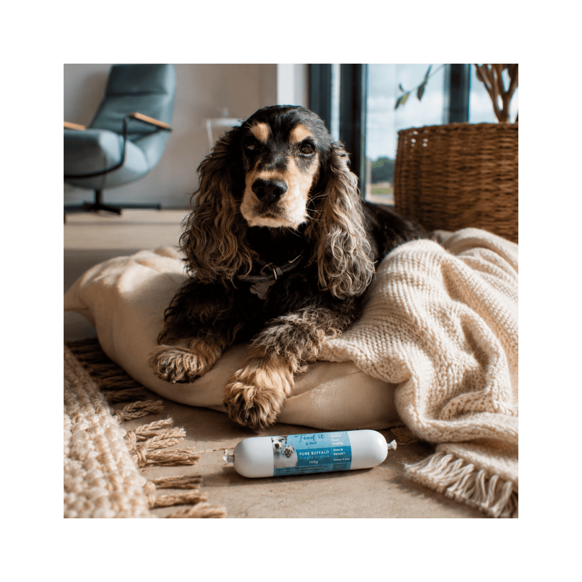 Feed’it & Treat Pure Buffalo foderpølse med 92 procent bøffel til hund og kat