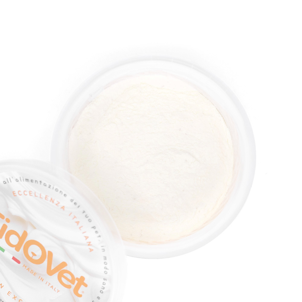 FidOvet Yogurt Carota (Gulerod)