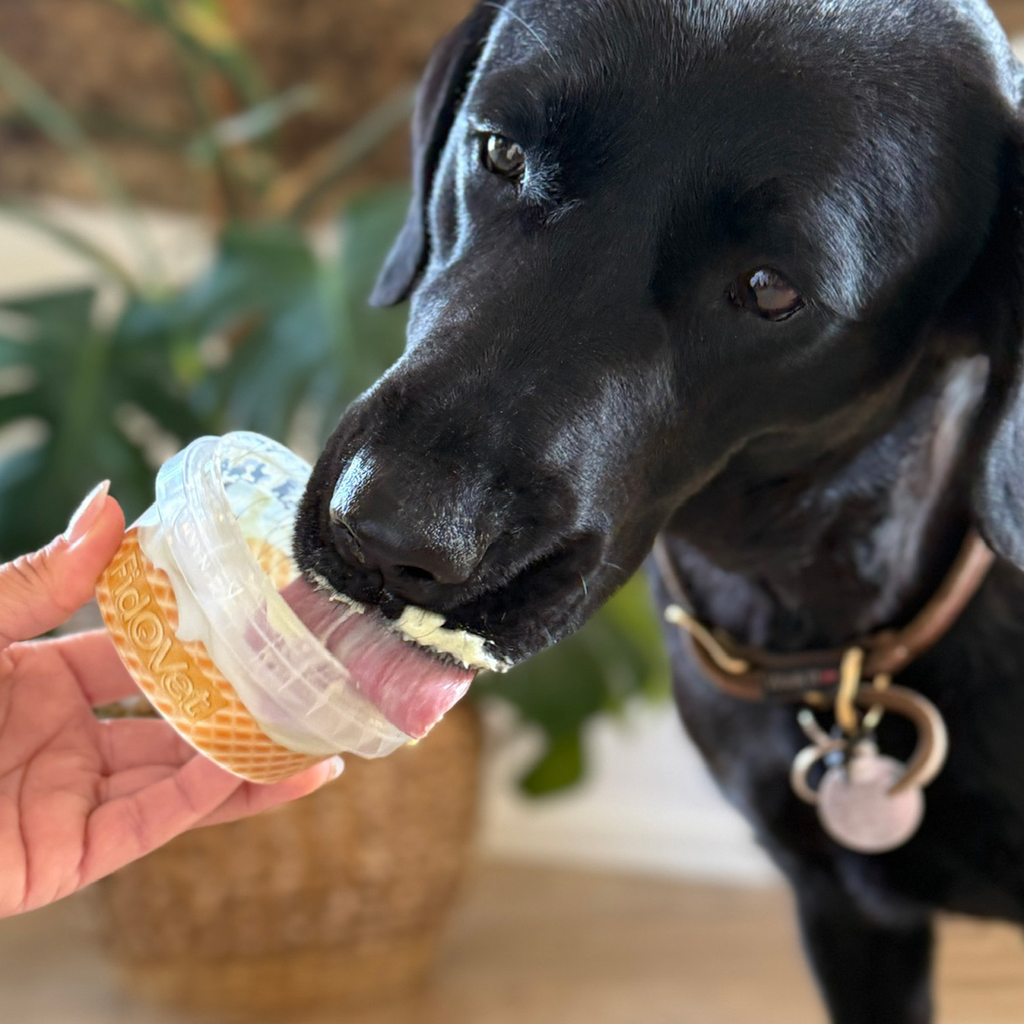 FidOvet Yogurt Carota (Gulerod)