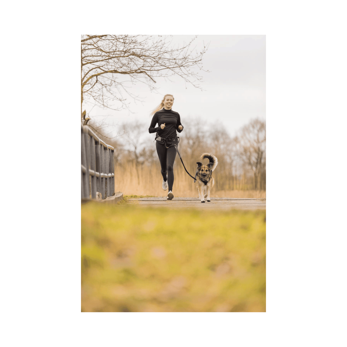 Trixie Joggingbælte med line til håndfri hundeføring