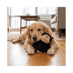 KONG Snuzzles Gorilla XL 28 x 25 x 10 cm plyslegetøj til hund med pivlyd