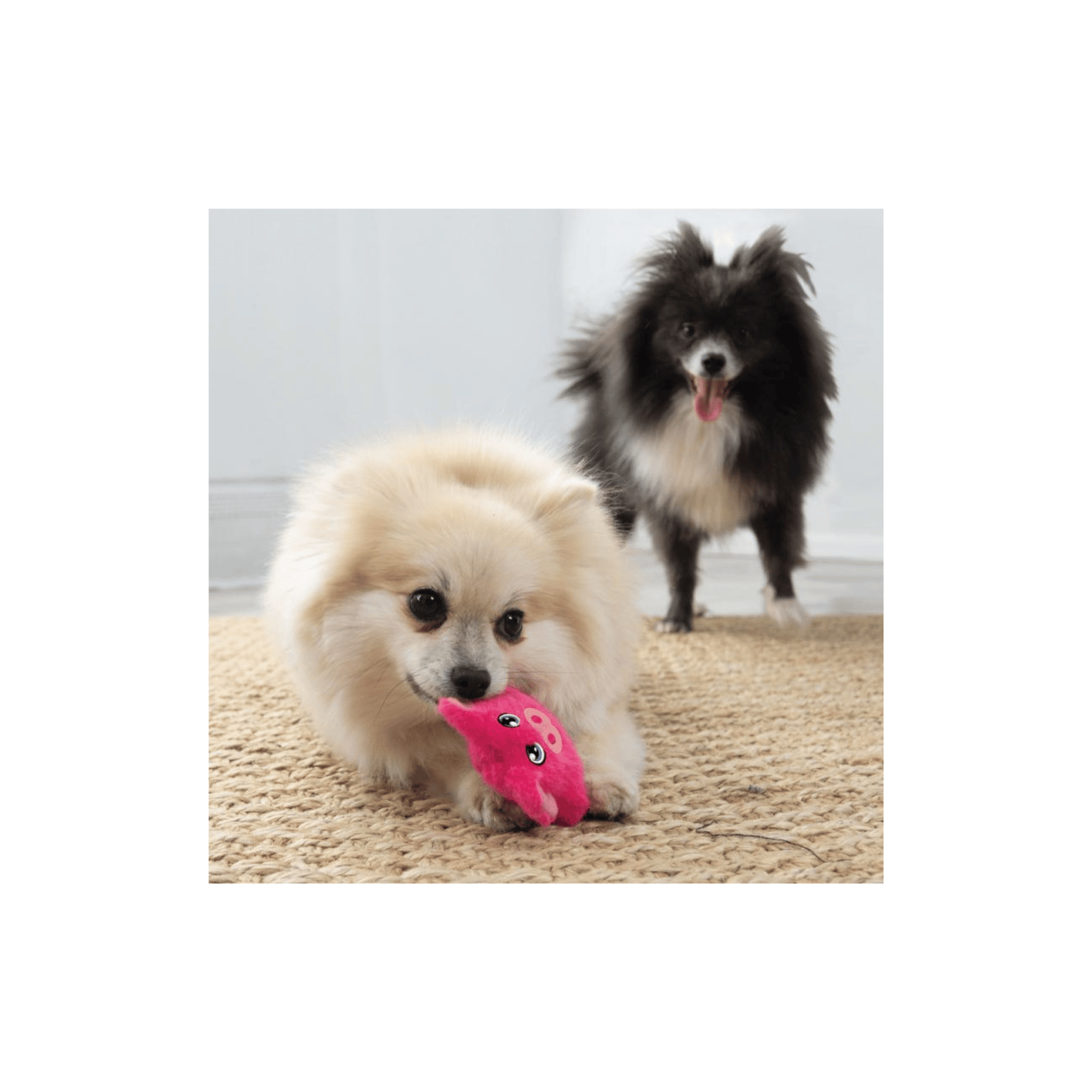 KONG Snuzzles Mini Pig XS blød plysgris med pivelyd til små hunde