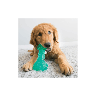 KONG Squeezz Dental Stick M tandplejelegetøj til hund med nubret overflade fra kong