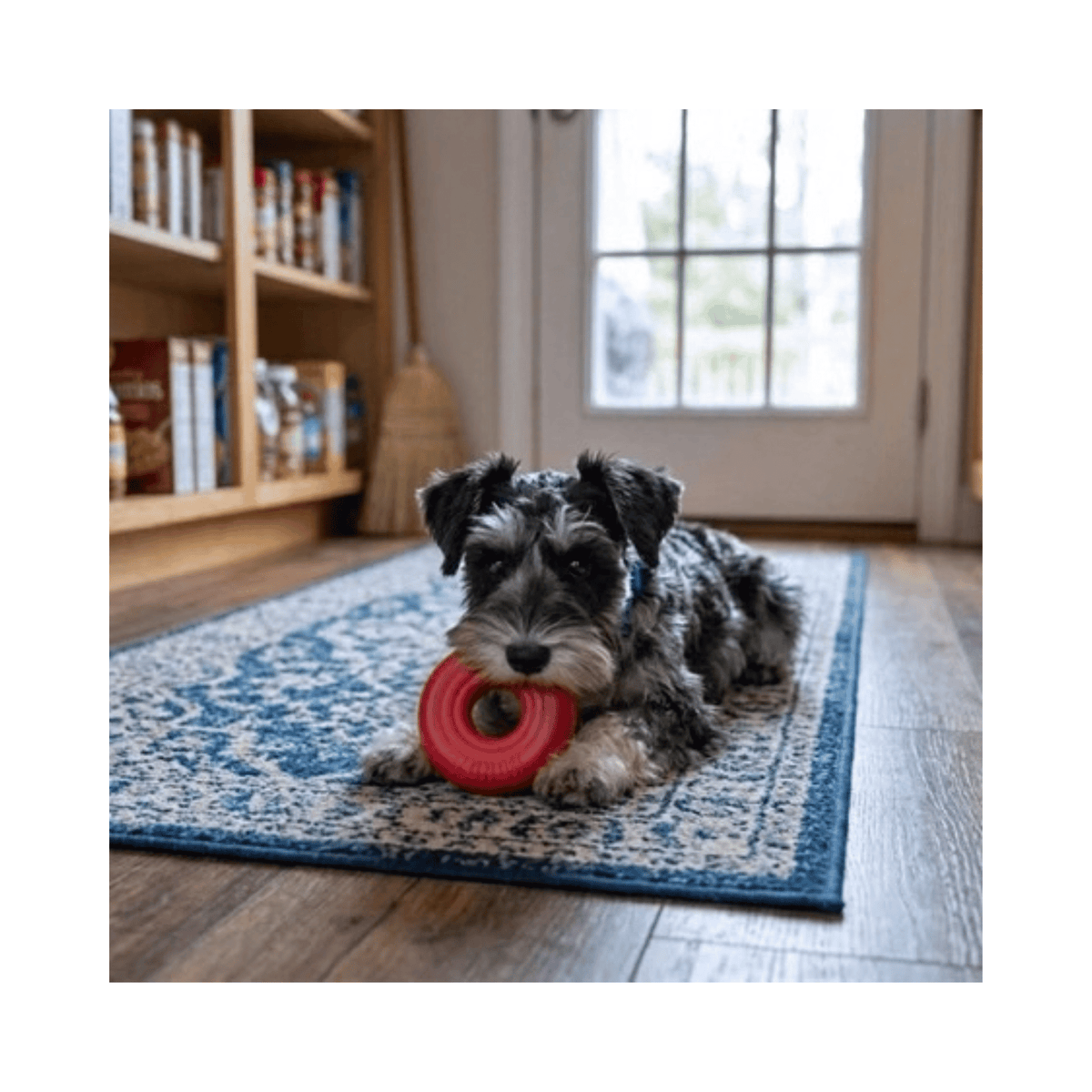 KONG Donut tyggelegetøj i 100 procent naturgummi til hund