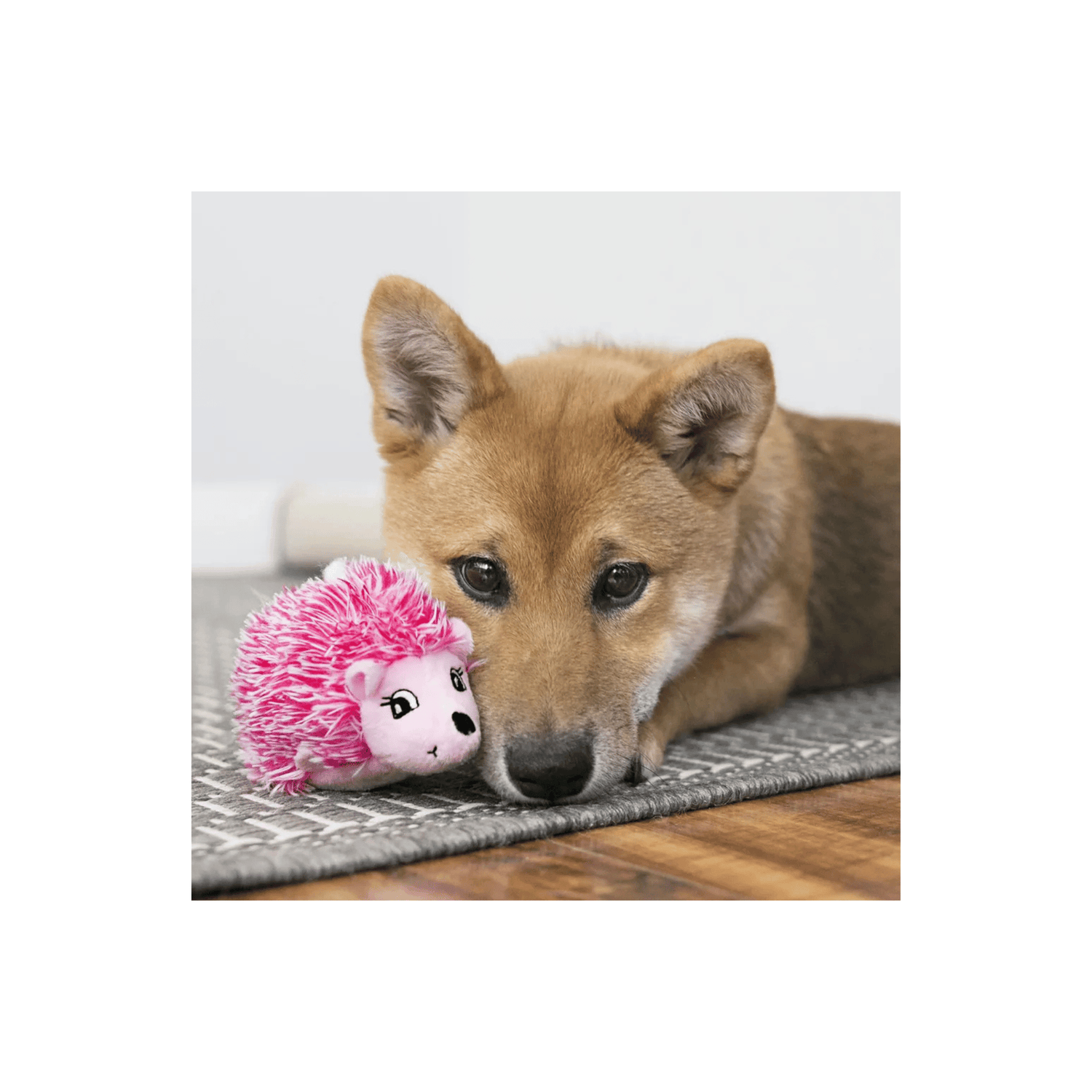 KONG Comfort Hedgehug Puppy XS