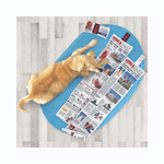 KONG Daily Newspaper XL 106 cm plyslegetøj til hund med 6 pivere og velcrolukning