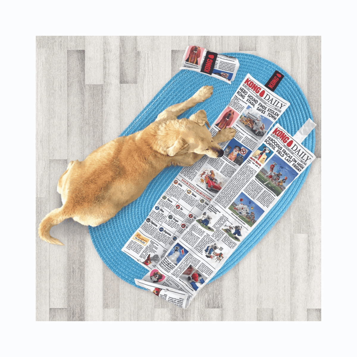 KONG Daily Newspaper XL 106 cm plyslegetøj til hund med 6 pivere og velcrolukning