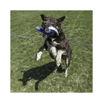 KONG Whirlz Throw M/L spiralformet apportlegetøj til hund til land og vand