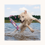 KONG Wild Shieldz Training Dummy Swirl S/M flydende apportdummy med reb til hund
