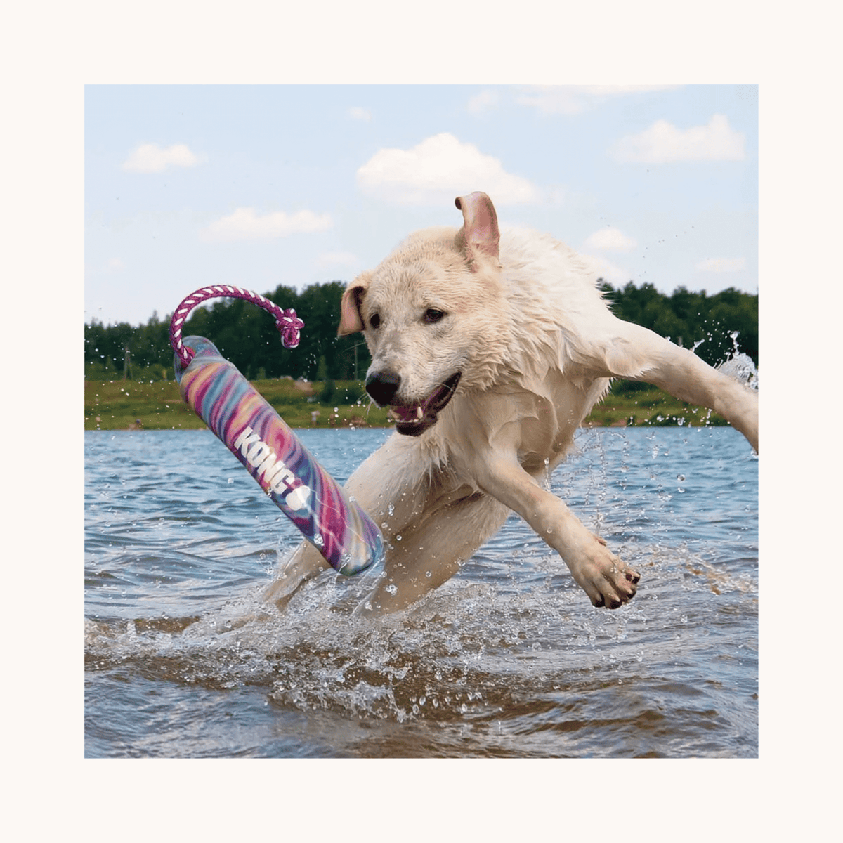 KONG Wild Shieldz Training Dummy Swirl S/M flydende apportdummy med reb til hund