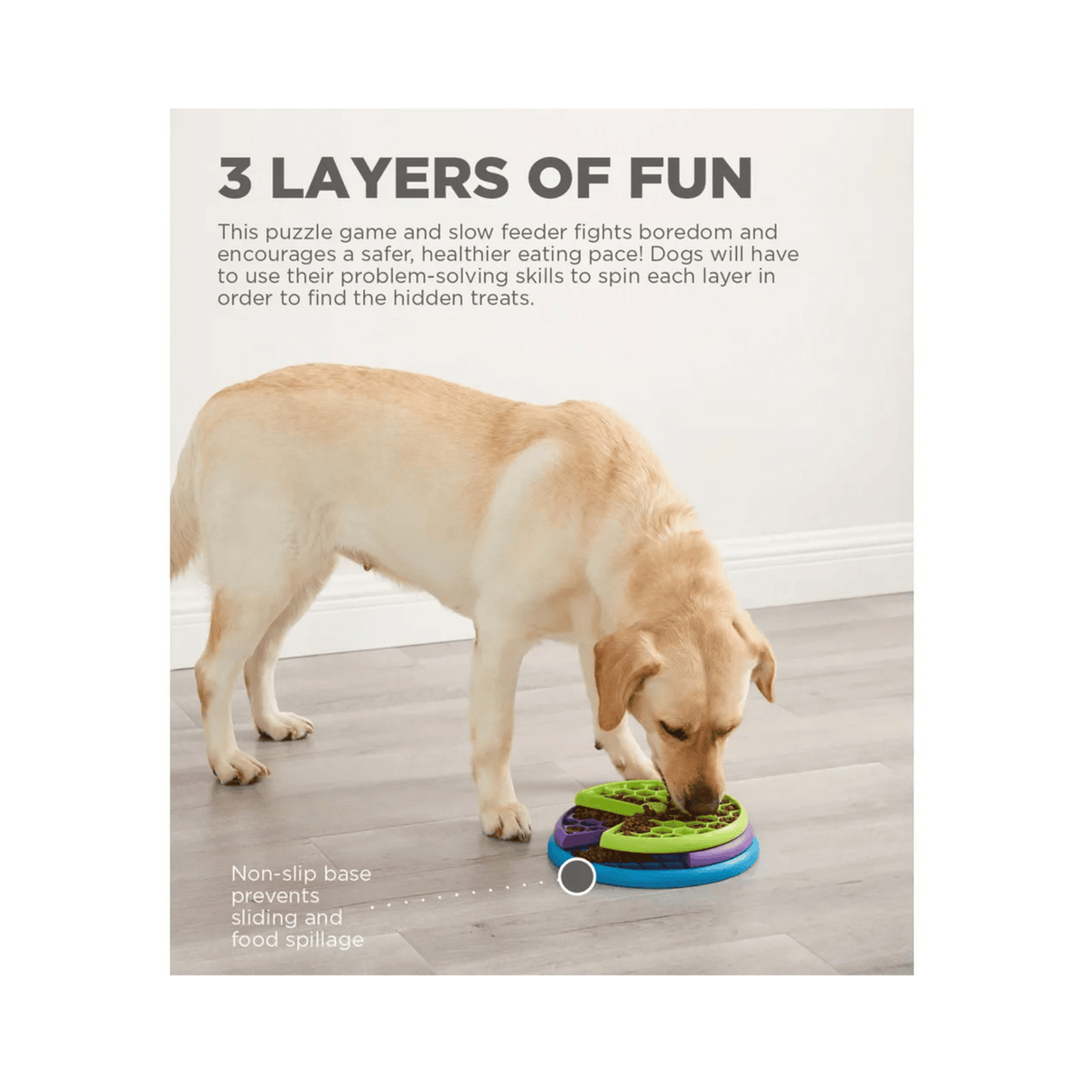 Nina Ottosson Lickin Layers niveau 2 slow feeder og aktiveringslegetøj til hund