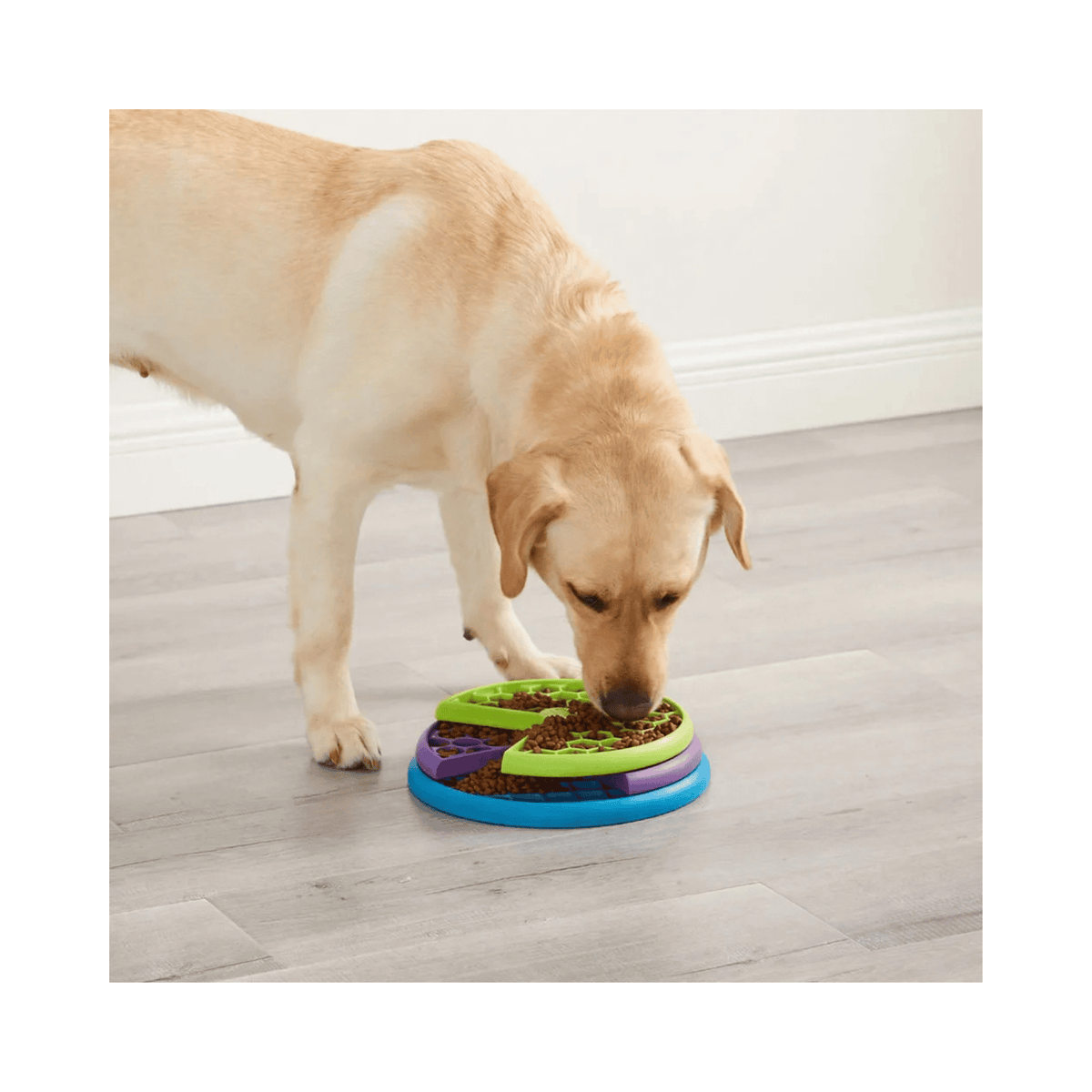 Nina Ottosson Lickin Layers niveau 2 slow feeder og aktiveringslegetøj til hund