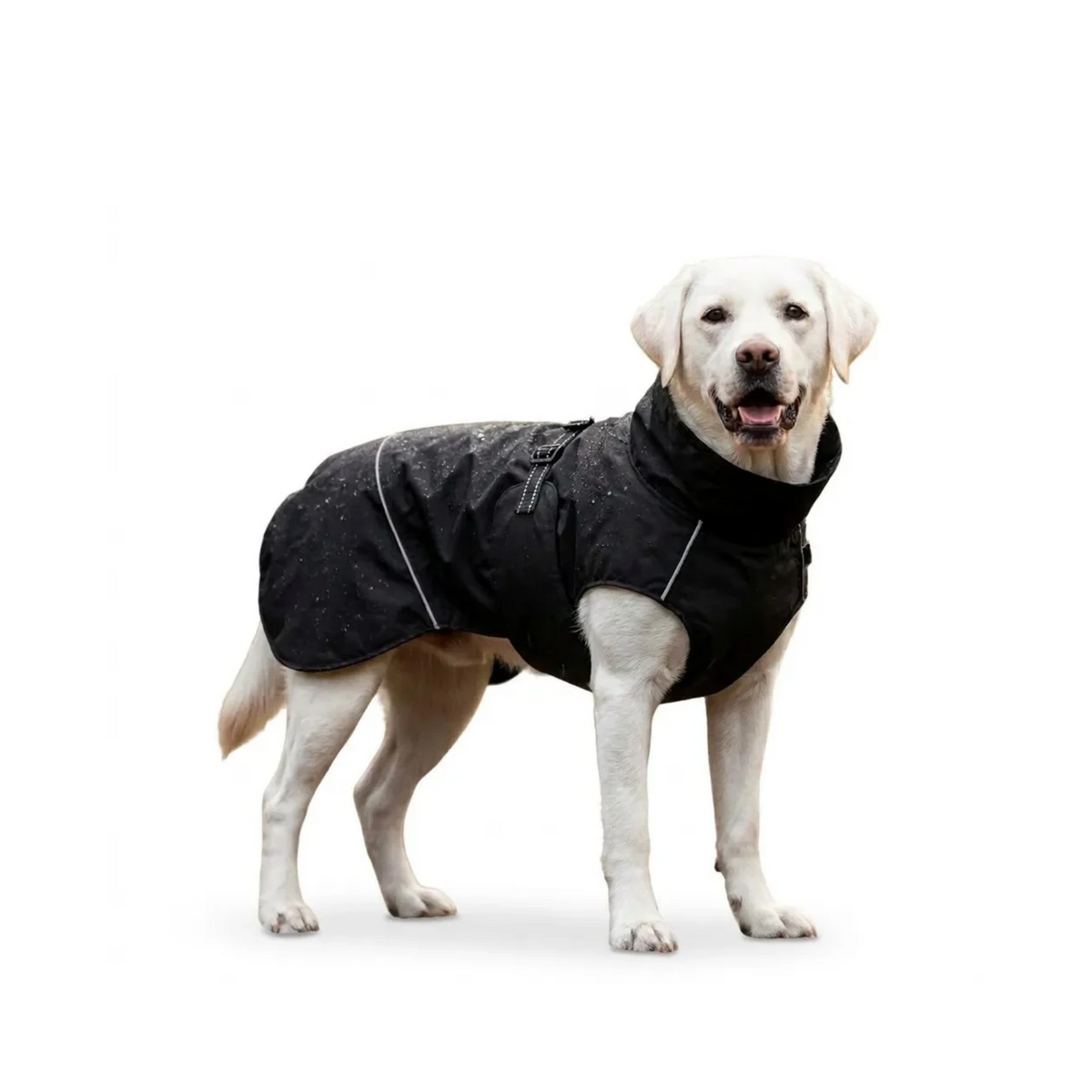 Ozami Outdoor sort regnjakke til hund med fleecefor og refleks