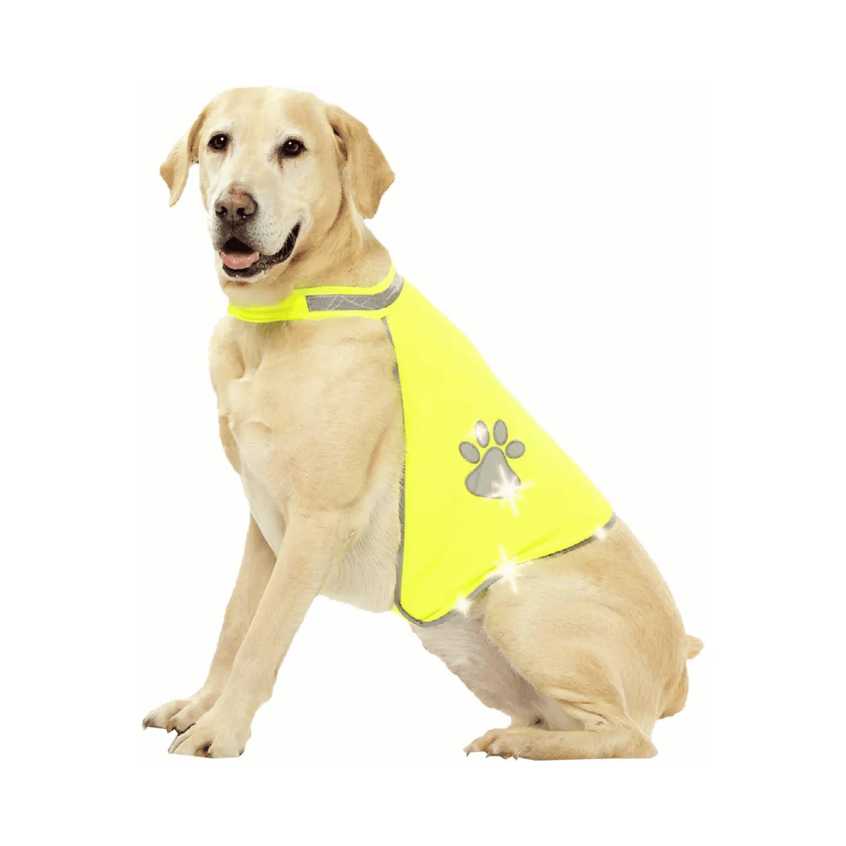 Pawise Dogsafety refleksvest til hund med velcrolukning og reflekterende detaljer