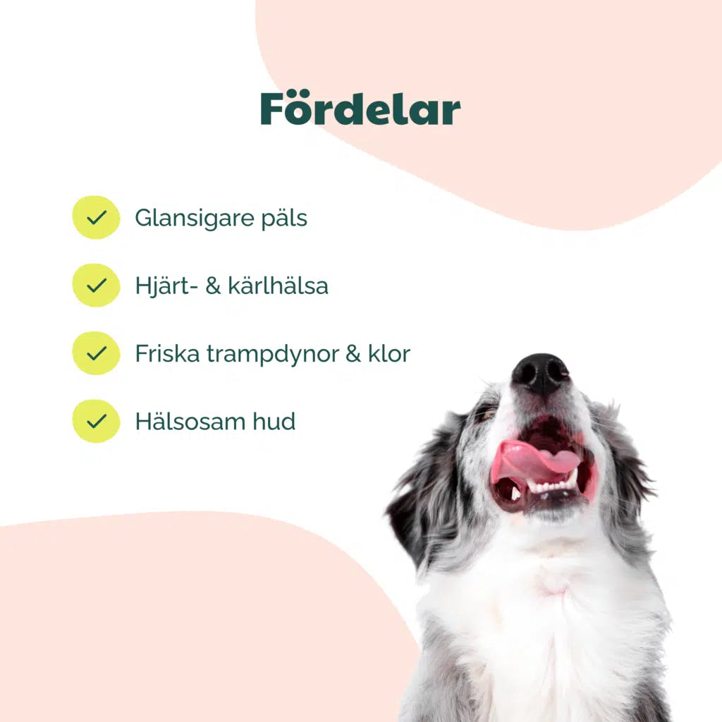 Fodertilskud - Buddycare Salmon Oil - FjeldgaardShop.dk Lakseolie & olier til hunde Buddycare