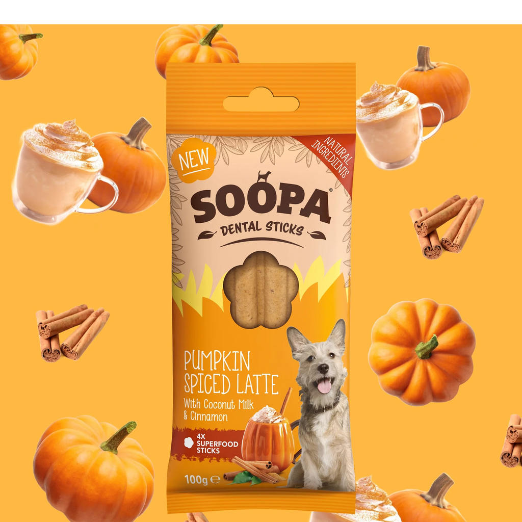 Hundegodbid - SOOPA Dental Sticks Pumpkin Spiced Latte 100 gr. - FjeldgaardShop.dk Veganske hundesnacks SOOPA