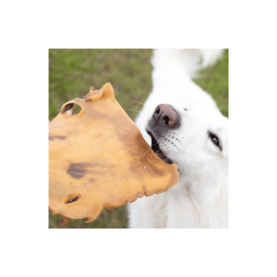 Snack’it Pandebraskplade 20 x 20 cm naturlig oksehud tyggesnack til hunden