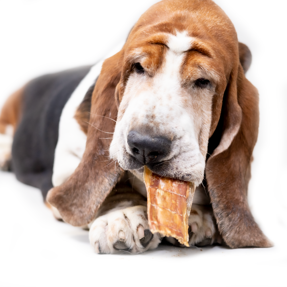 Snack'it Valsede Spiserør Okse 30 cm 5 kg. Premium (EU) - FjeldgaardShop.dk Natursnacks Okse Snack'it