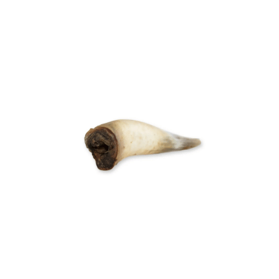 Snack’it Oksehorn 500 g naturlig langtidstygge til hund