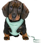 Trixie Junior hvalpesele - soft sele m. line - Udgår by Trixie