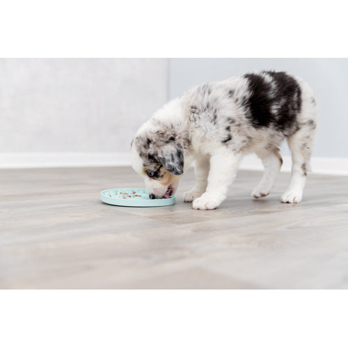 Junior licking plate 21 cm.