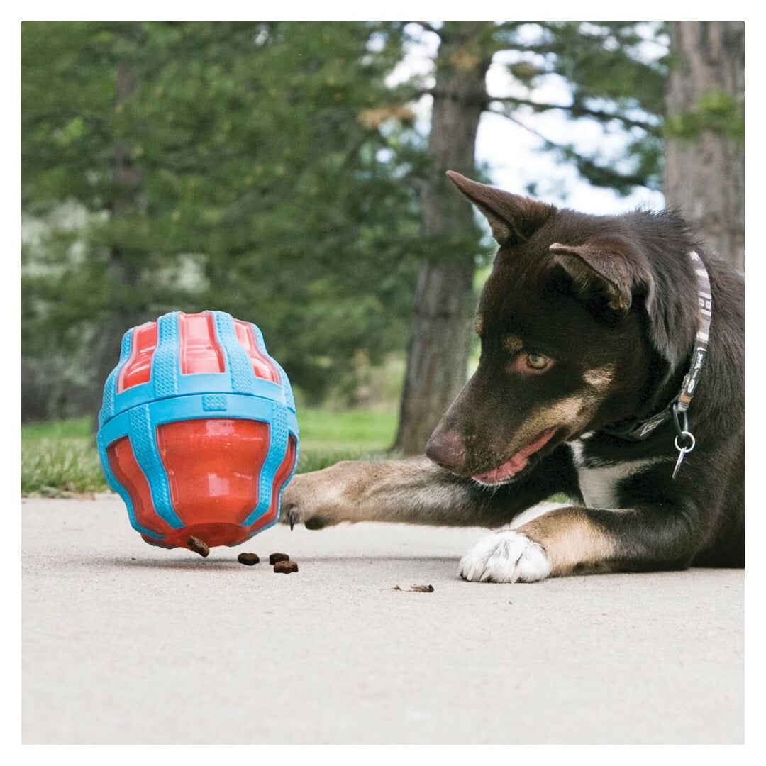 Kong Treat Spinner