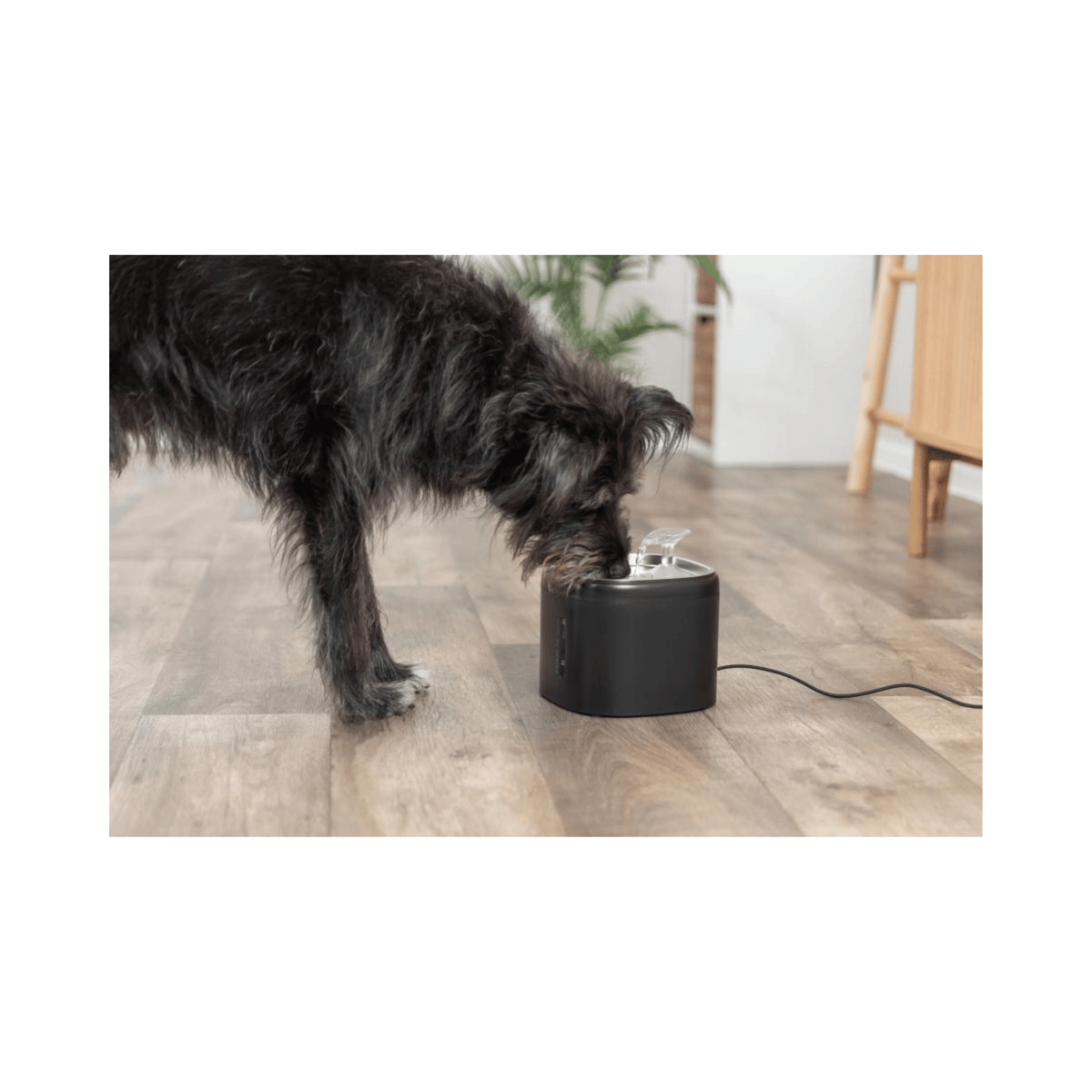 Trixie Aqua Pure sort drikkefontæne 2 liter til hund og kat