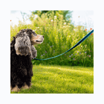 Walk'it lyseblå anti-slip sporline med håndtag til hundetræning