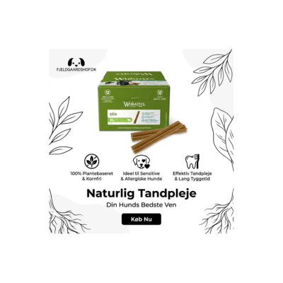 Whimzees tandrensende hundesnacks plantebaserede tandtyggepinde til hund
