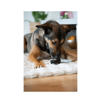 Zeus ChewChasers Treat Ball sort godbidsbold i naturgummi til hund