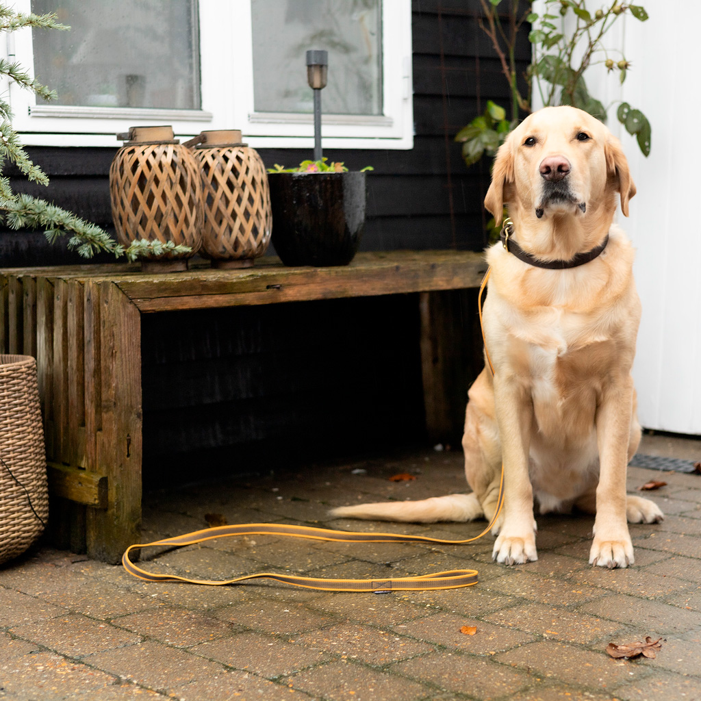 Walk'it Anti-slip Sporline m/håndtag Sennep