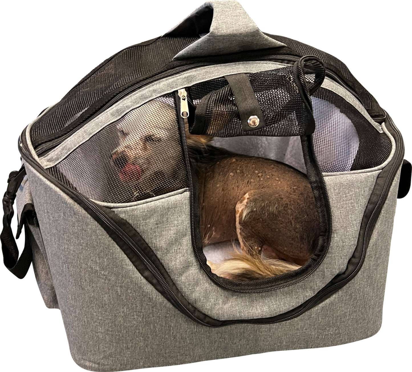 Companion pet transport basket