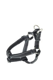 BUSTER Reflekterende Mesh hundesele - FjeldgaardShop.dk Hundeseler Buster