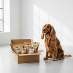 Godbidskassen Medium kornfri overraskelseskasse til mellemstore hunde 11-20 kg