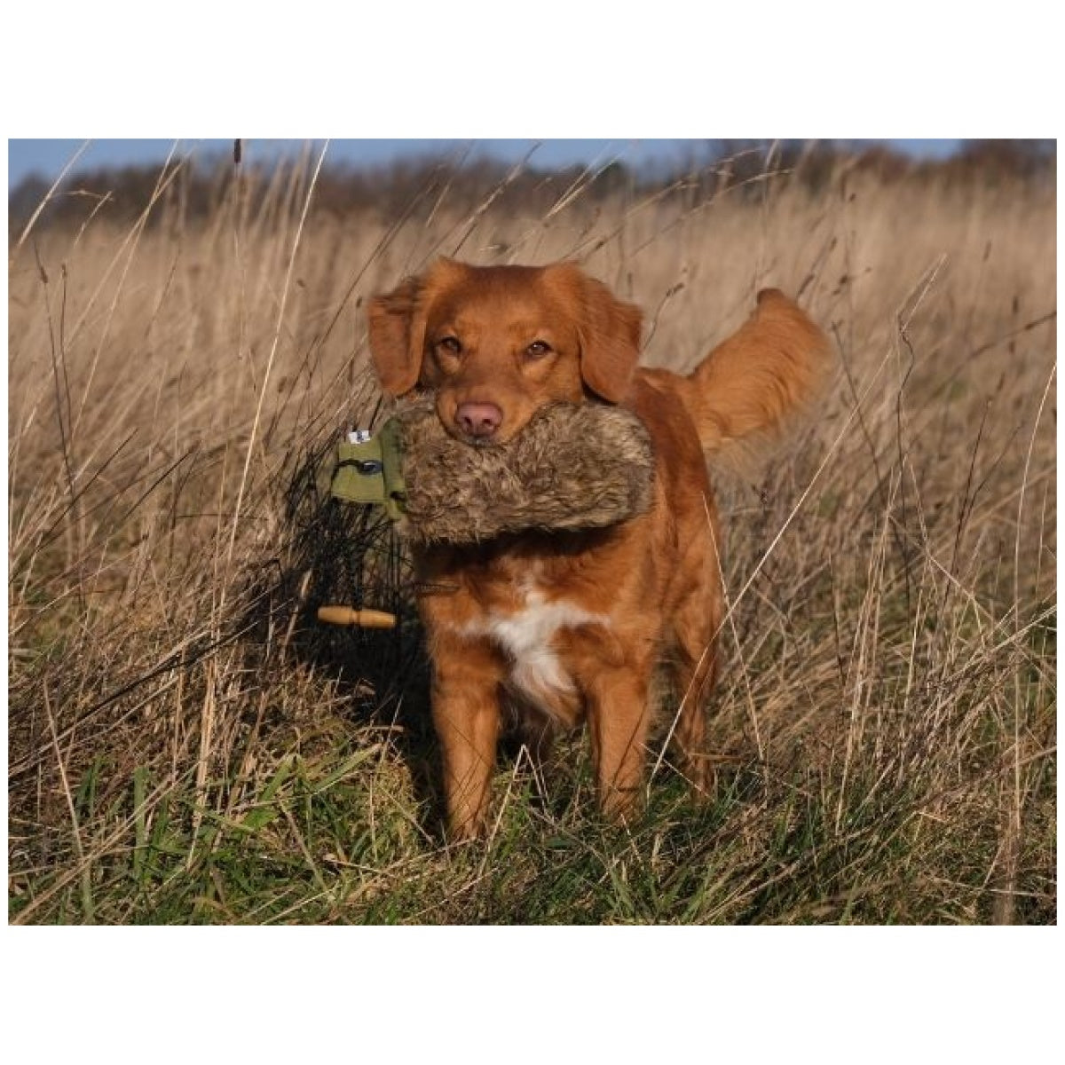 Hundelegetøj - Fenriz by Procyon Dummy med pels 500 gr. - FjeldgaardShop.dk Dummy Fenriz