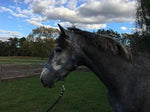 Denimgrime. Blå. Full by Horsesquare