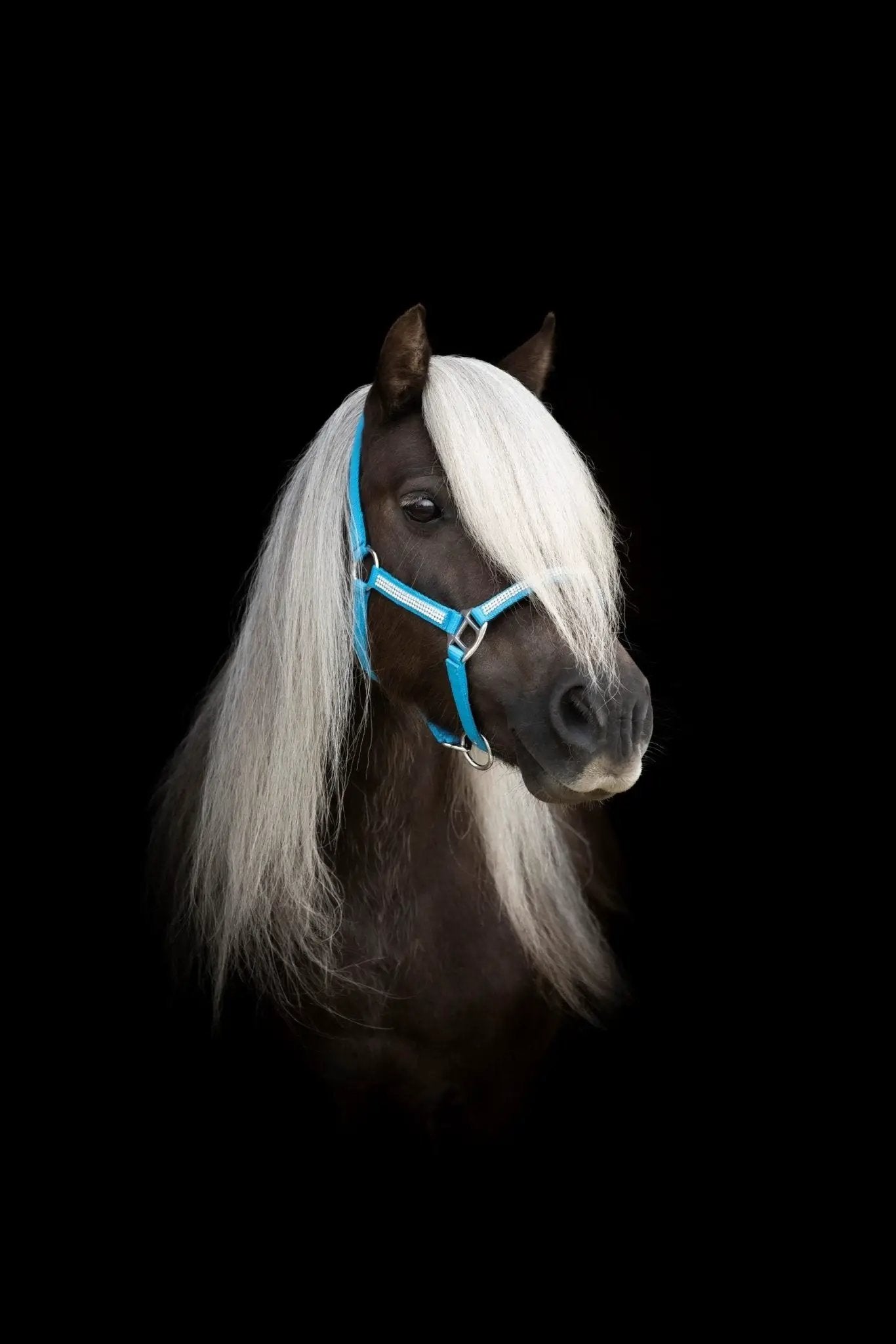 Grime med sten. Shetland. by Fjeldgaard Shop DK