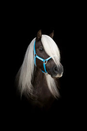 Grime med sten. Shetland. by Fjeldgaard Shop DK