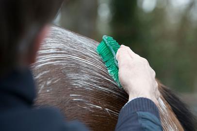 LeMieux Hippo Brush