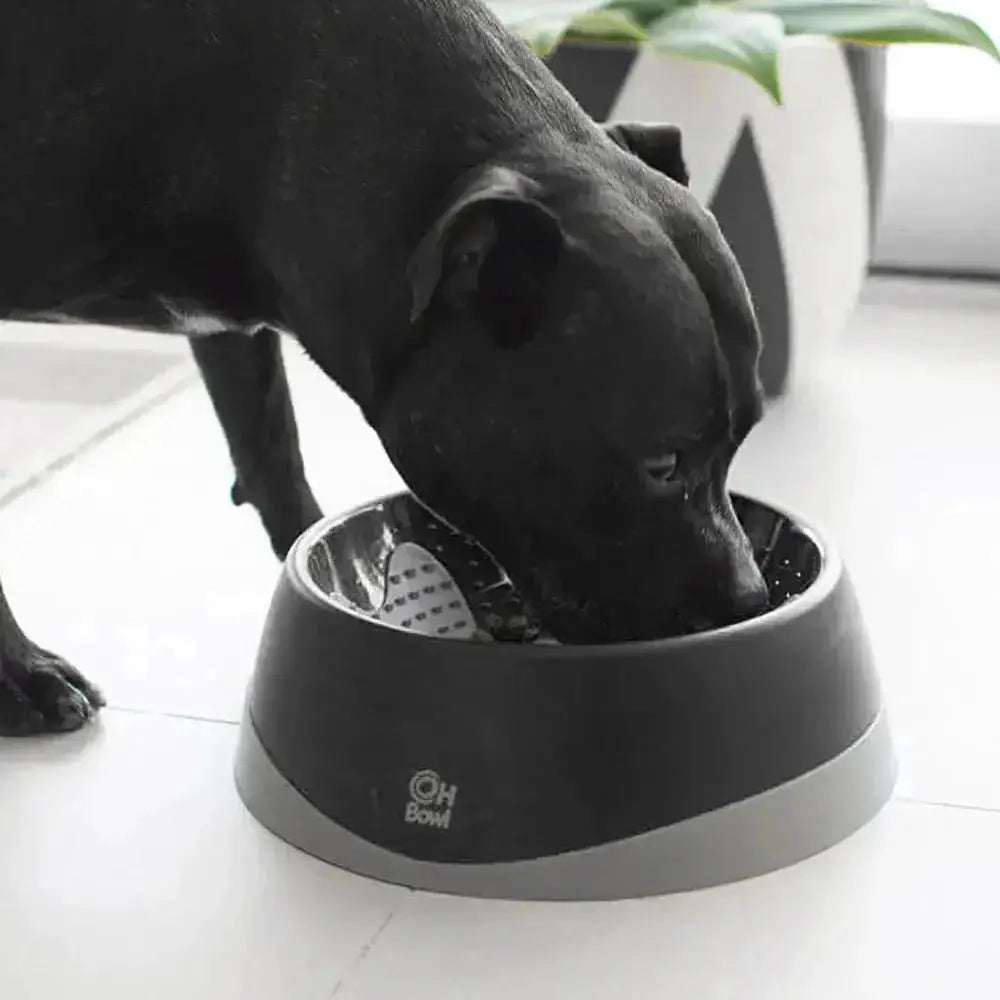 Hundeskål Lickimat Oral Hygiene Bowl Medium Sort by Lickimat
