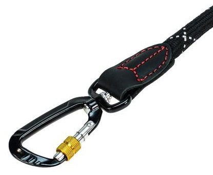 iEnergy Sport Leash