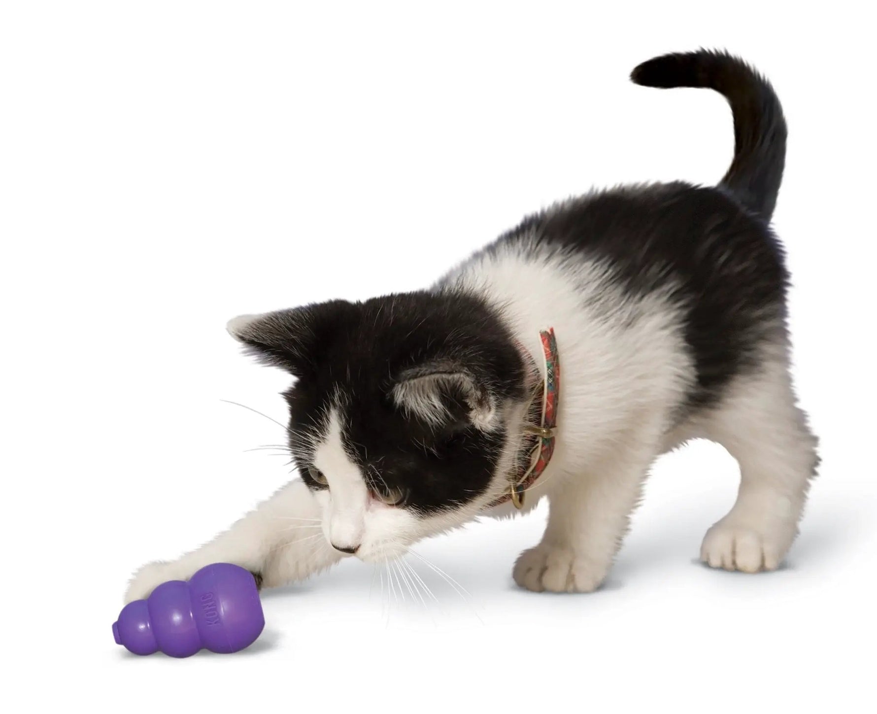 Kitty KONG by KONG