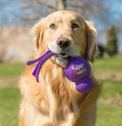 KONG Wubba - FjeldgaardShop.dk Hundelegetøj KONG