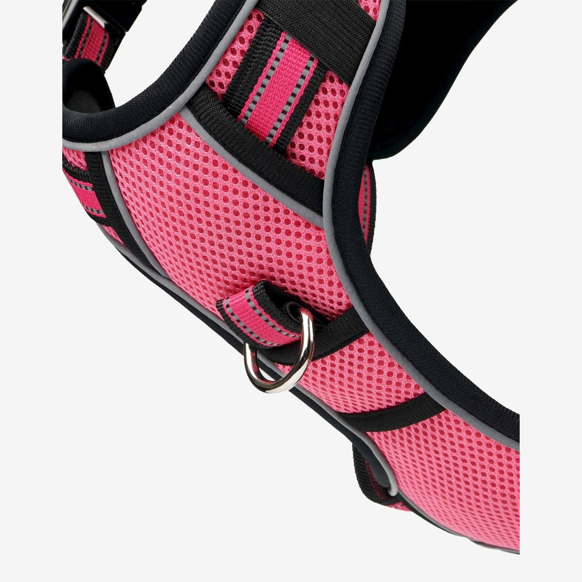 LeMieux Winchester hundesele - justerbar sele - udgår - FjeldgaardShop.dk Hundeseler LeMieux