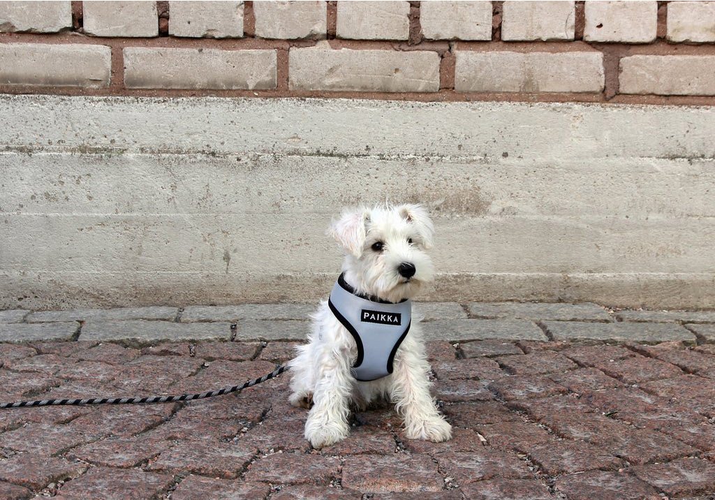 PAIKKA Reflekterende Hundesele til Sikker Gåture - FjeldgaardShop.dk Liner, seler & halsbånd Paikka